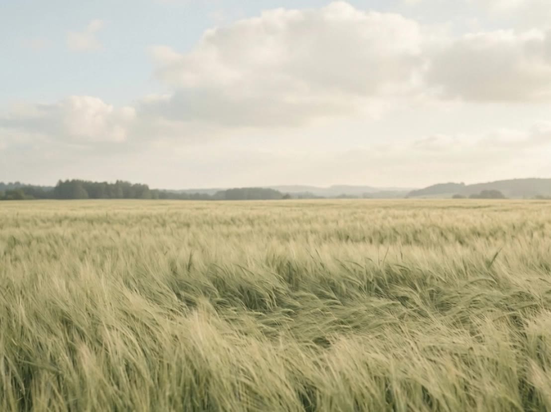still camera, human weight - pan camera movement AI video
