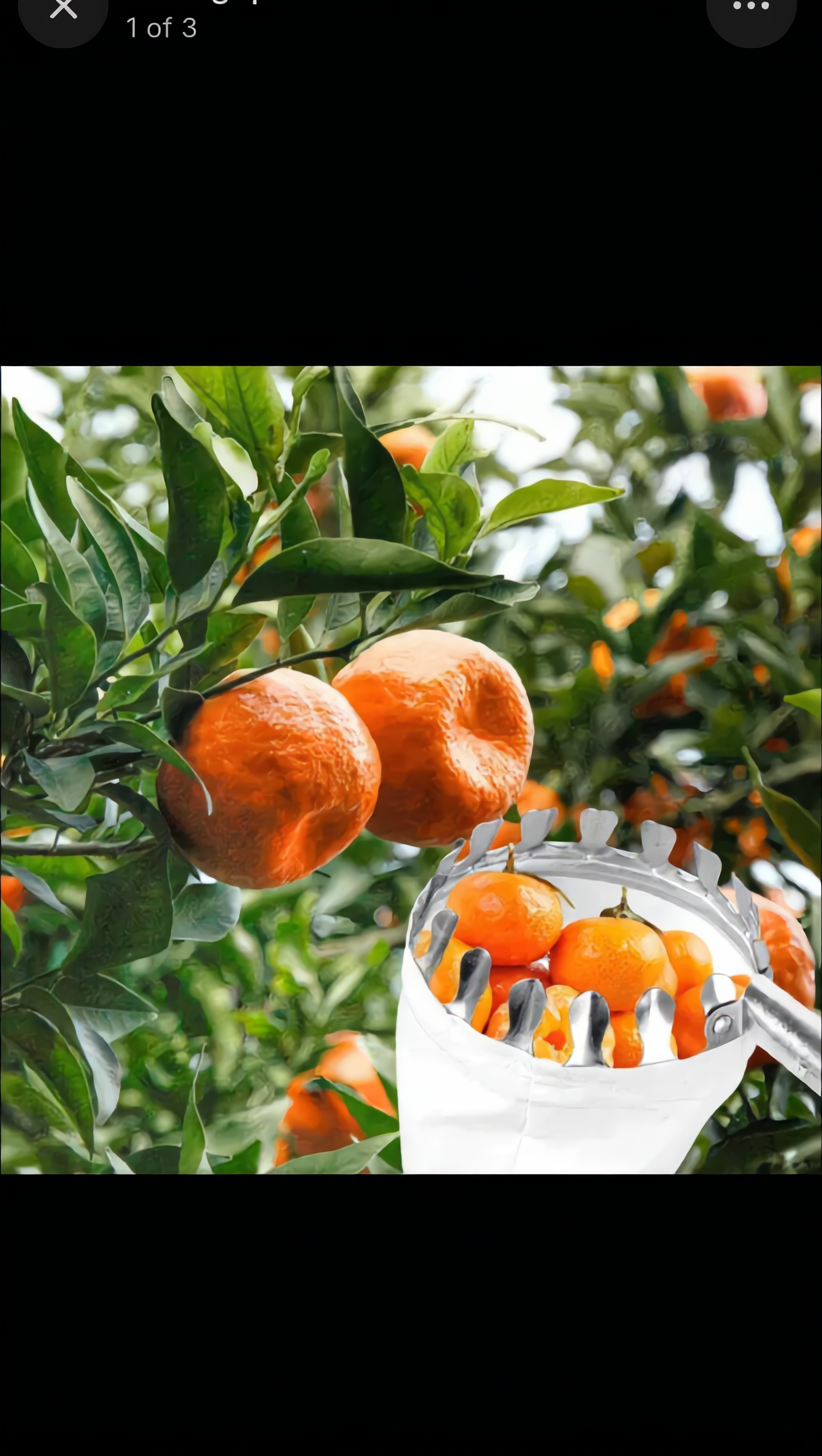 Kling AI work 312933524525633 - ugc factory AI image