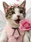 Nina avatar
